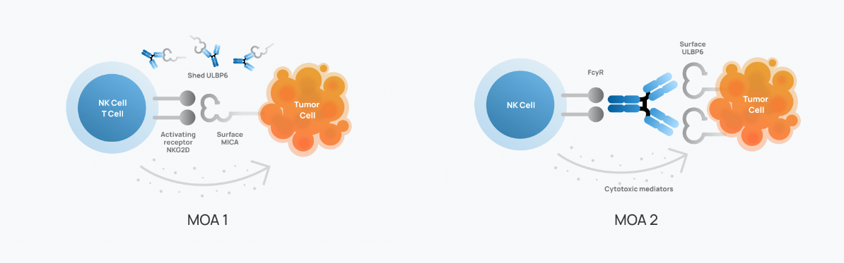 23andMe Scores FDA Clearance for Novel Cancer Immunotherapy Targeting NK Cells