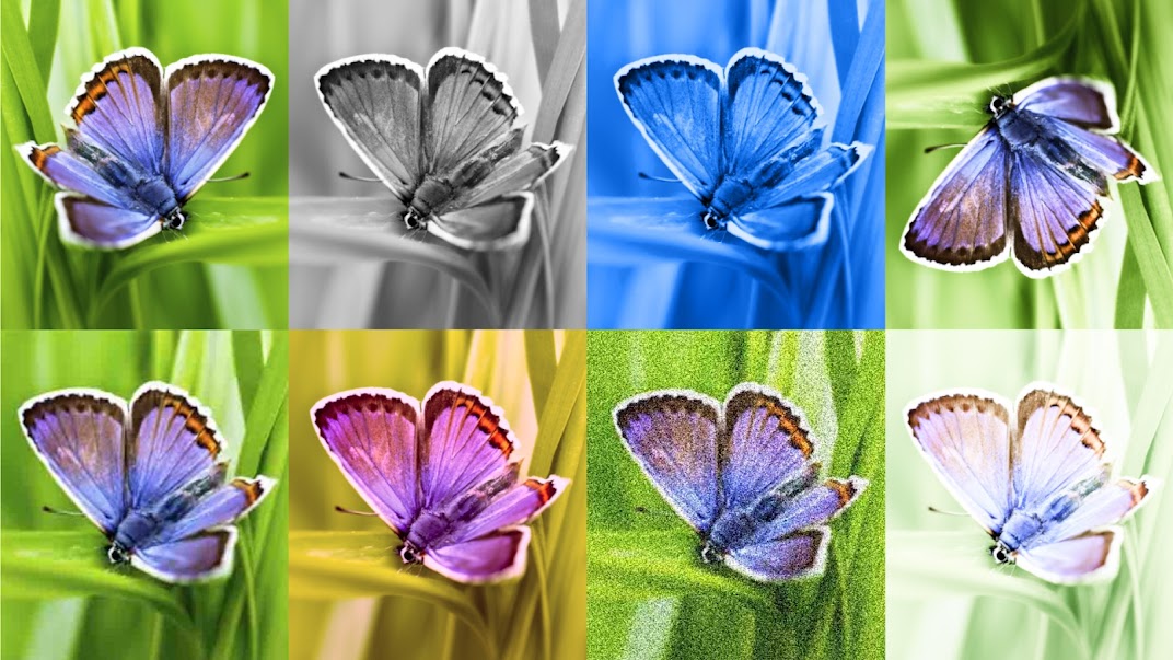 Identifying AI-generated images with SynthID