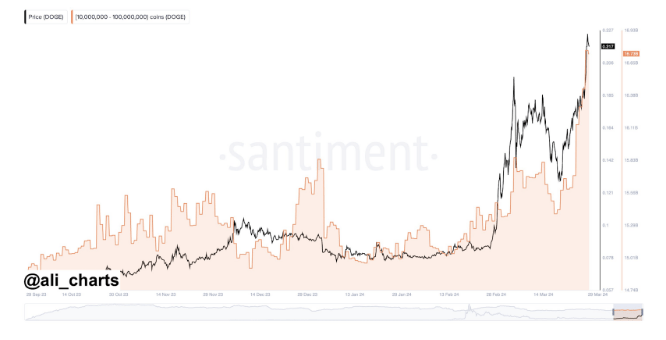 Dogecoin Whales Fill Up Their Bags As Price Rallies